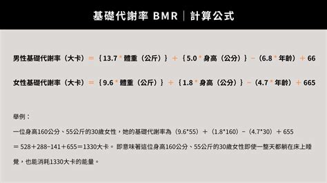 體型分析|【身體組成分析】如何理解體脂率、BMR、基礎代謝。